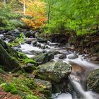 herbstlicher Ternellbach