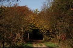 Herbstlicher Tunnel