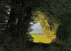 Herbstlicher Tunnelblick