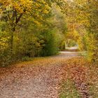 Herbstlicher Tunnelblick