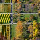 herbstlicher Überblick