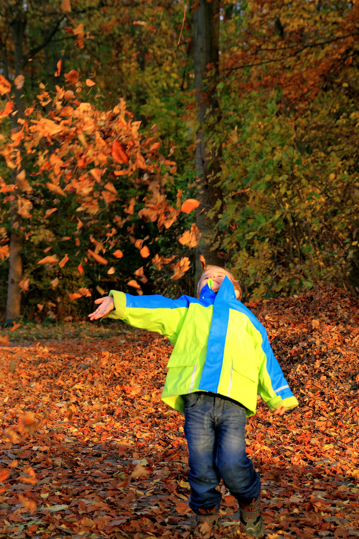 Herbstlicher Überschwang