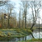 herbstlicher Unterspreewald 2