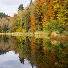 Herbstlicher Wald