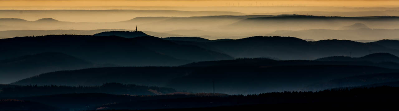 Herbstlicher Wald am Morgen