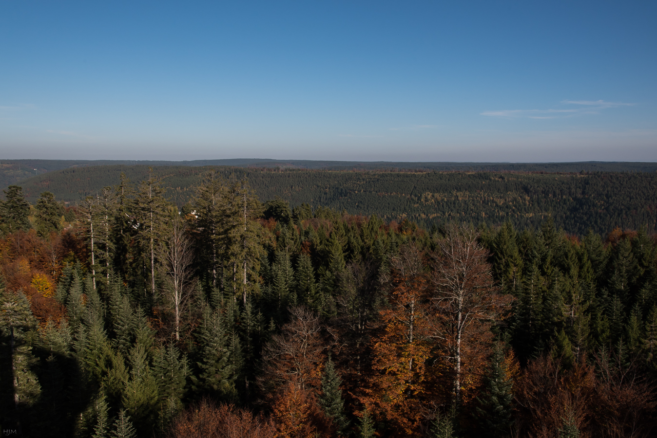 Herbstlicher Wald