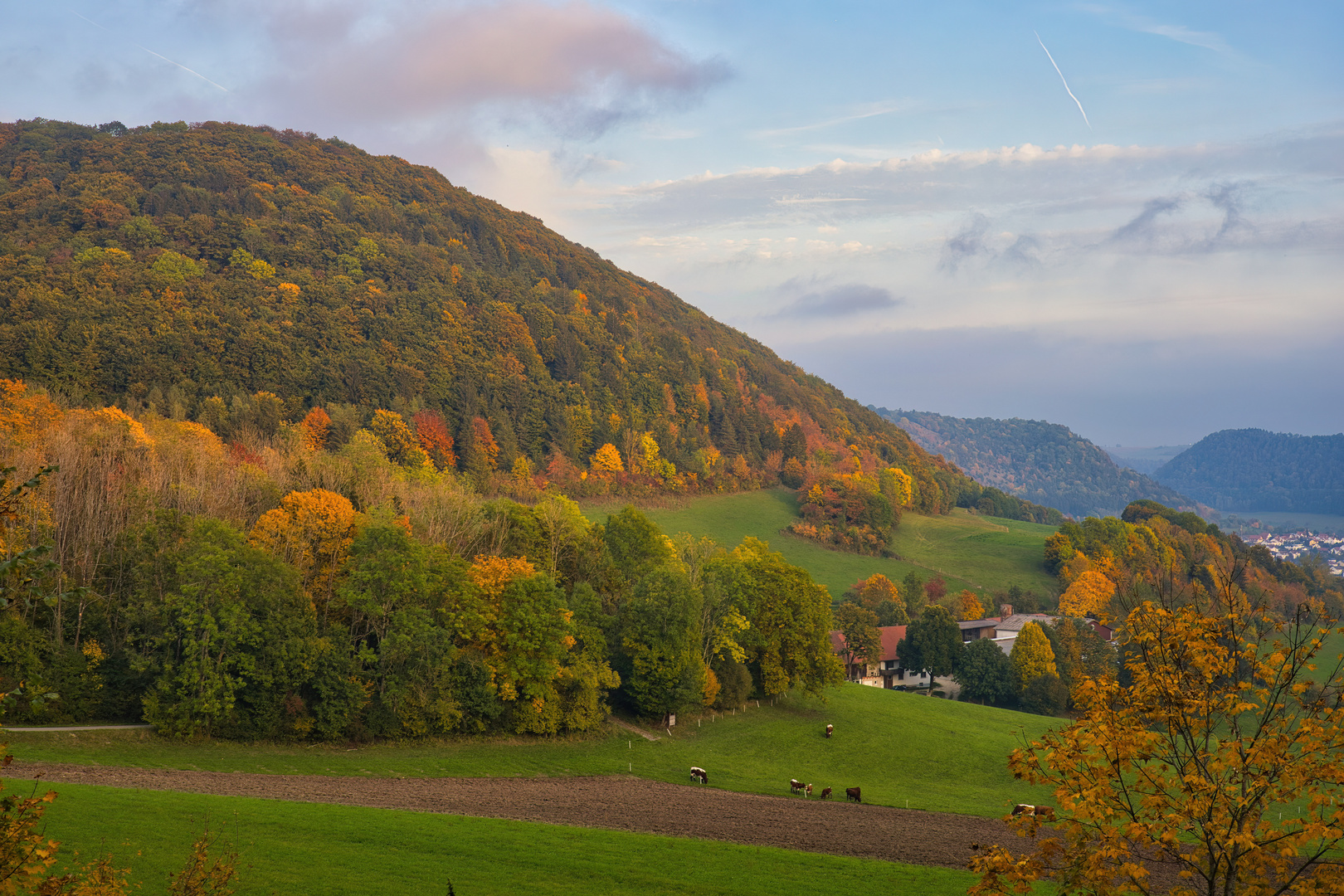 Herbstlicher Wald