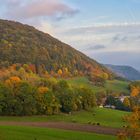 Herbstlicher Wald