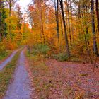 herbstlicher Wald (el bosque otoñal)