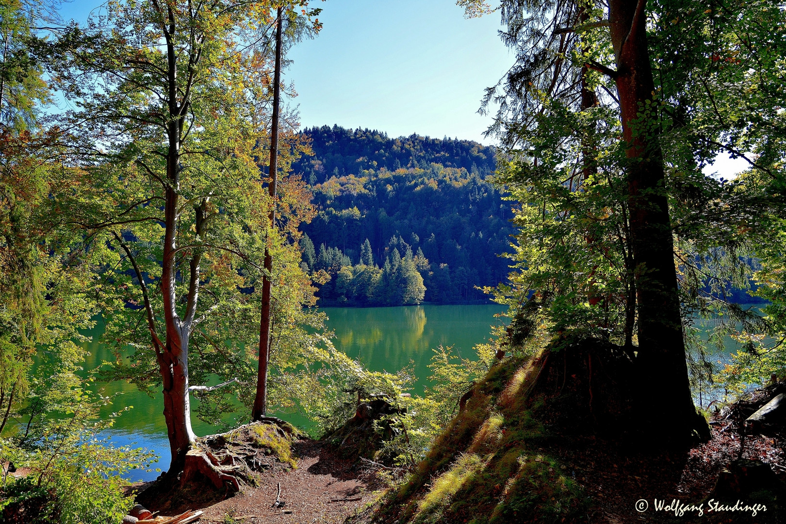 herbstlicher Wald - Hechtsee 2014