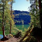 herbstlicher Wald - Hechtsee 2014