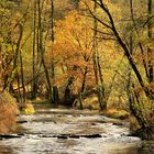 Herbstlicher Wald im Hevetal, Naturpark Arnsberger Wald