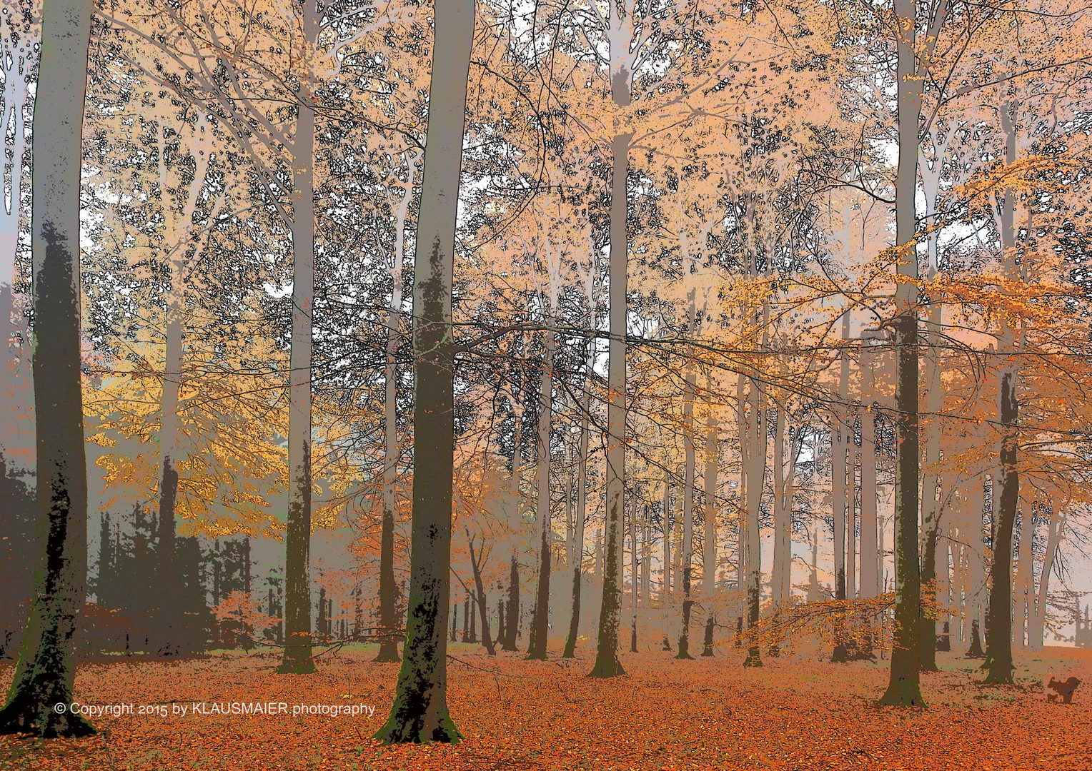 Herbstlicher Wald mit Hund