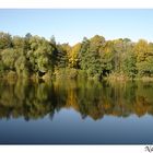 herbstlicher Wald spiegelt sich im See