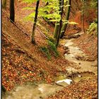 Herbstlicher Waldbach