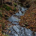 Herbstlicher Waldbach