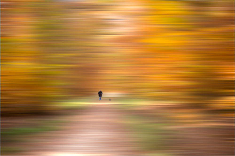 herbstlicher Waldspaziergang