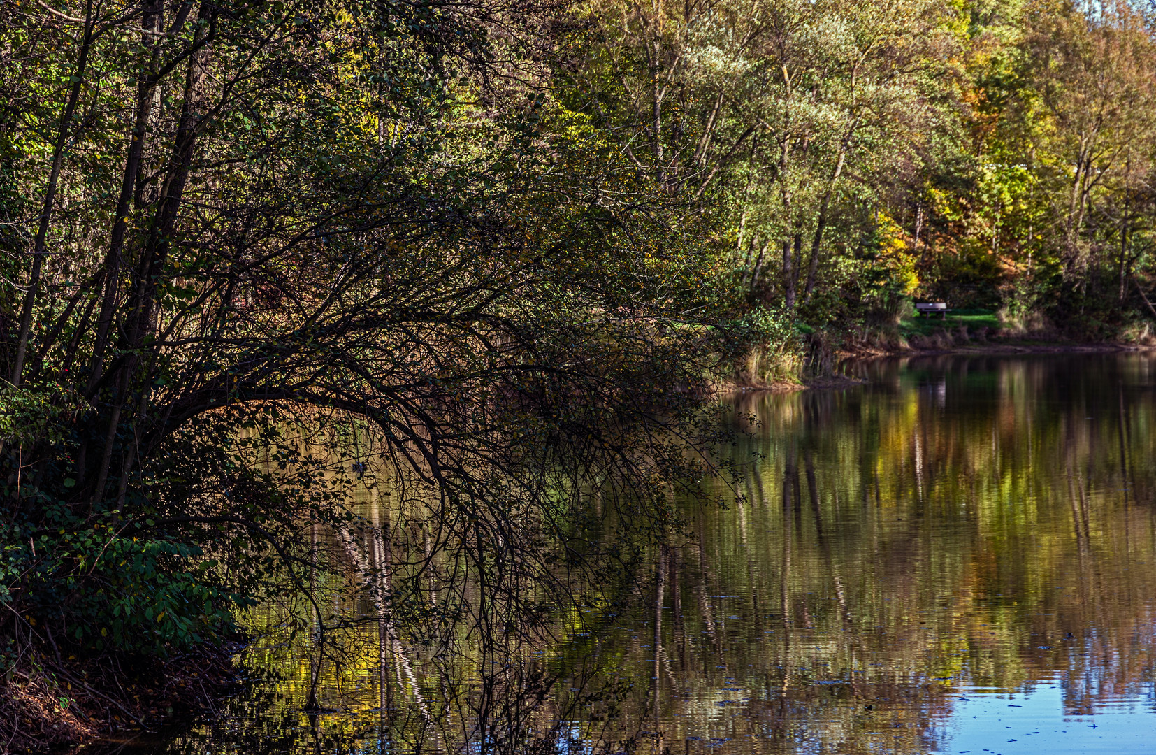 Herbstlicher Waldteich