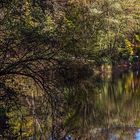 Herbstlicher Waldteich