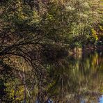 Herbstlicher Waldteich