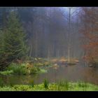 Herbstlicher Waldweiher.