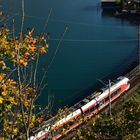 Herbstlicher Walensee