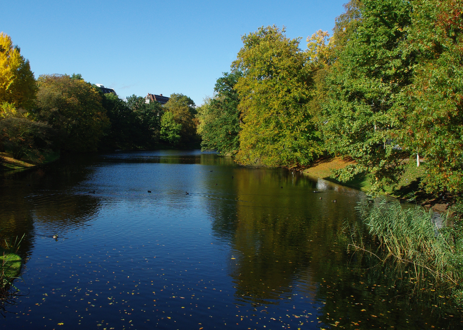 Herbstlicher Wallgraben - Bremen