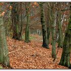 Herbstlicher Wanderweg...