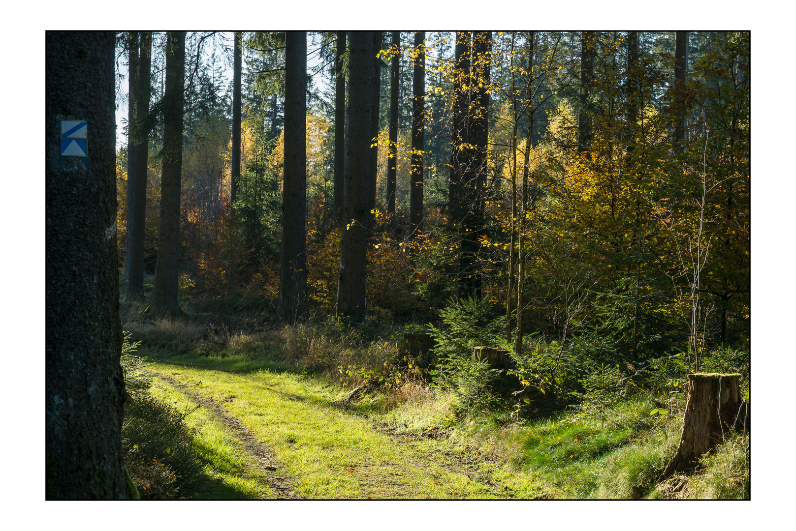 Herbstlicher Wanderweg...