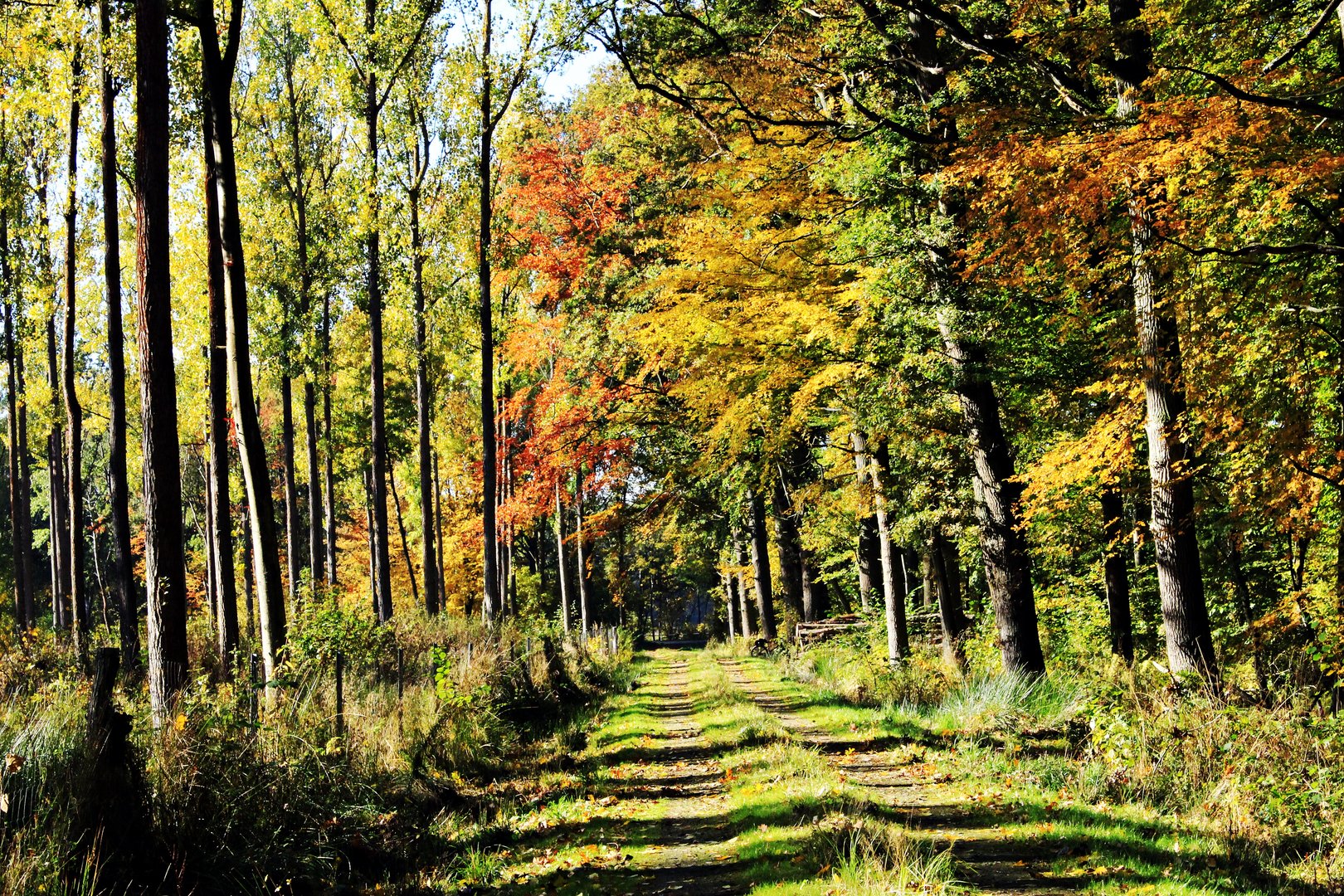 Herbstlicher Wanderweg