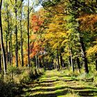 Herbstlicher Wanderweg