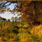 Herbstlicher Wanderweg