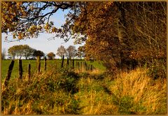 Herbstlicher Wanderweg