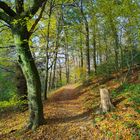 herbstlicher Wanderweg