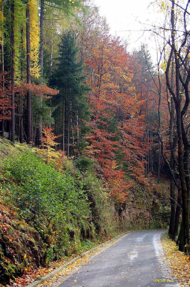 herbstlicher Wanderweg