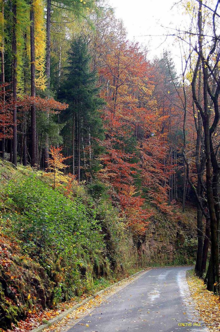 herbstlicher Wanderweg