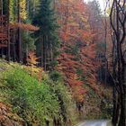 herbstlicher Wanderweg