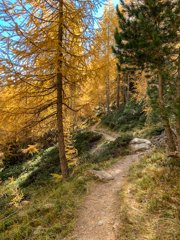 Herbstlicher Wanderweg