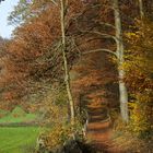 Herbstlicher Wanderweg im Neandertal