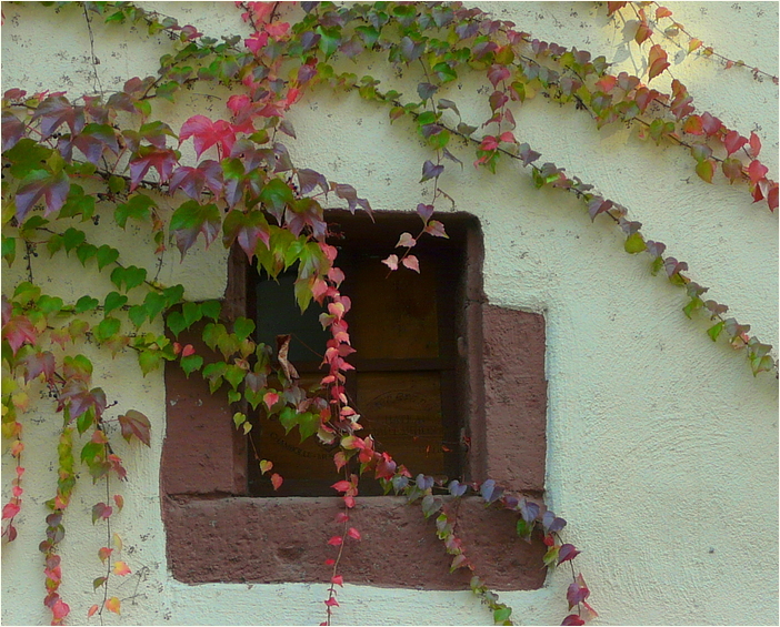 herbstlicher Wandschmuck