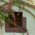 herbstlicher Wandschmuck