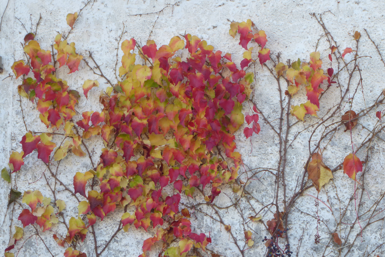 herbstlicher Wandschmuck