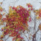 herbstlicher Wandschmuck