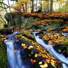 Herbstlicher Wasserfall 