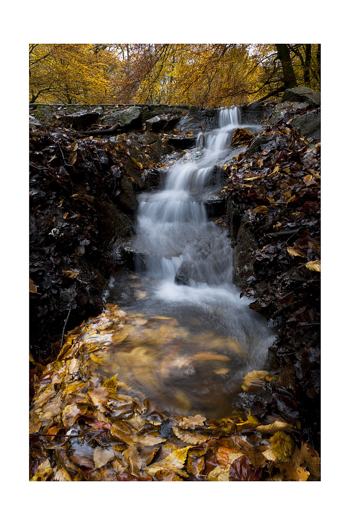 Herbstlicher Wasserfall