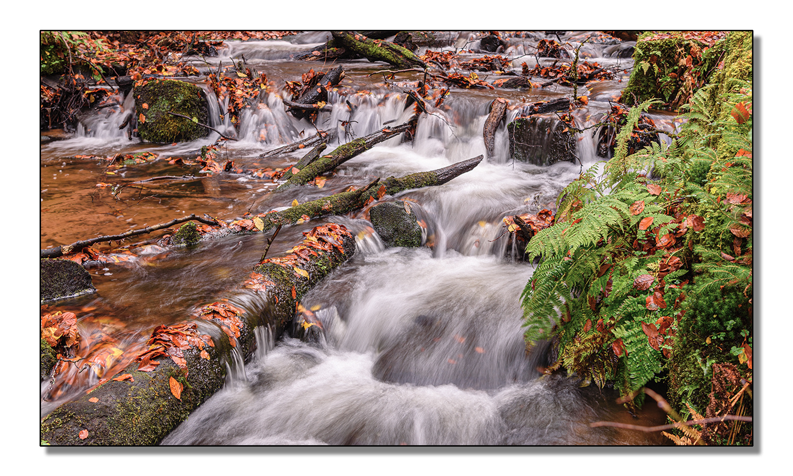 Herbstlicher Wasserlauf