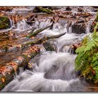 Herbstlicher Wasserlauf