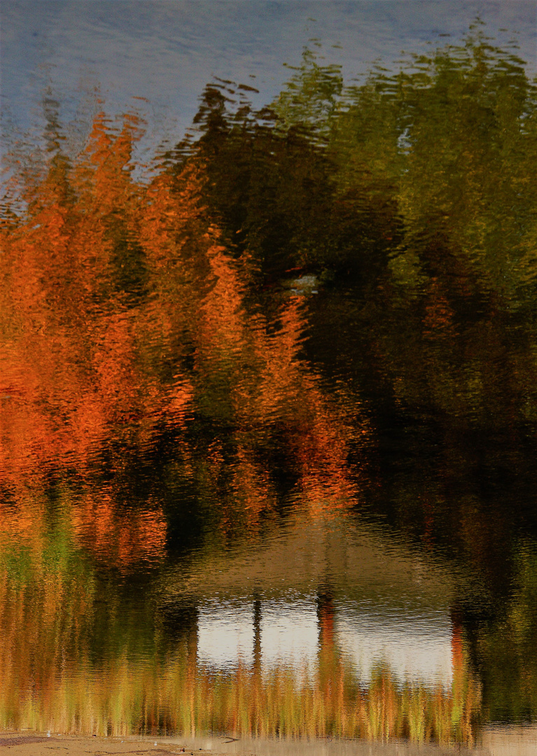 herbstlicher Wasserspiegel