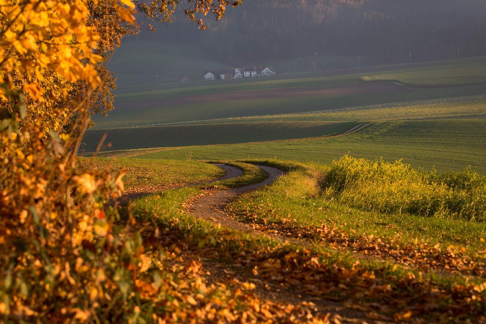 herbstlicher Weg