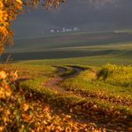 herbstlicher Weg